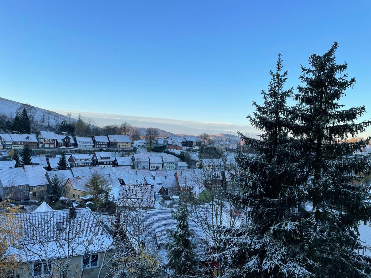 Ferienwohnung Donald Sankt Andreasberg Buitenkant foto