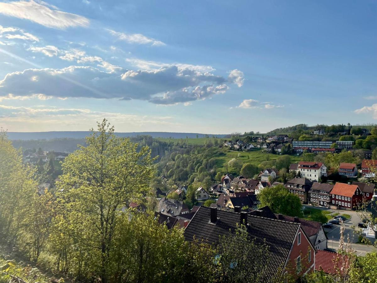 Ferienwohnung Donald Sankt Andreasberg Buitenkant foto