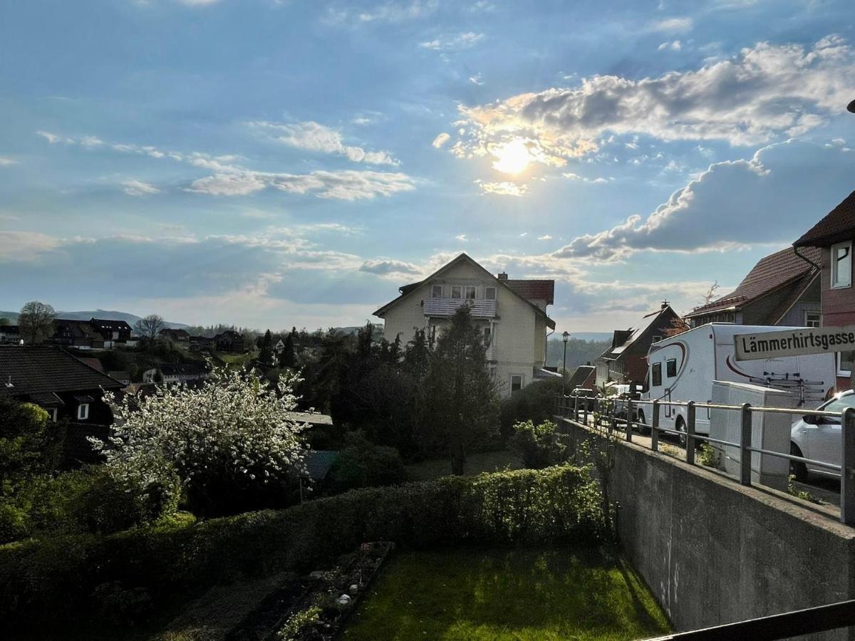 Ferienwohnung Donald Sankt Andreasberg Buitenkant foto